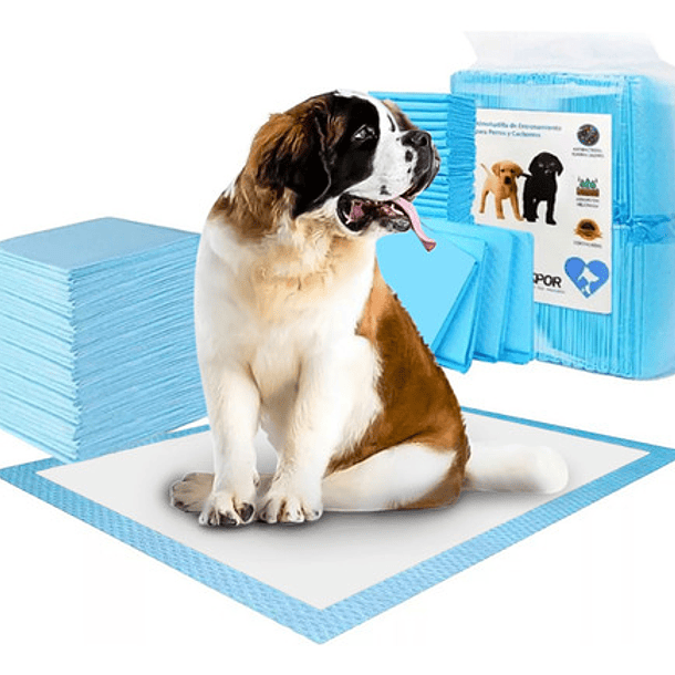 50 Pañales Tipo Sabanillas Mascotas Perros 45x60 Cms Aspor 7