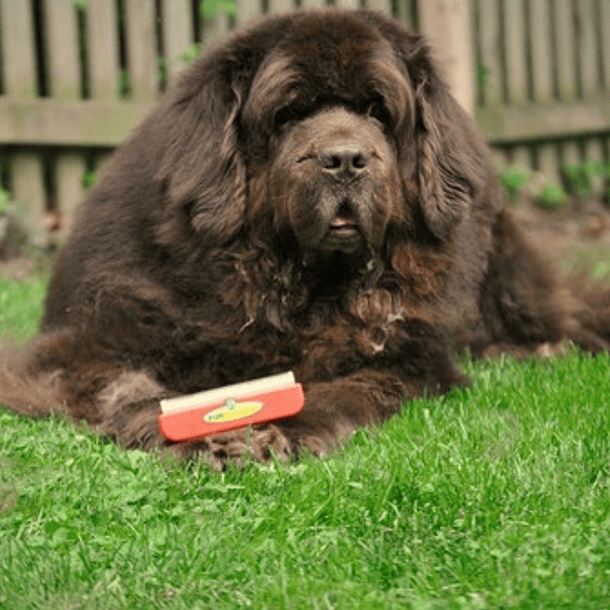 Furminator Cepillo Deslanador Perros Gigantes Pelo Largo Color Rojo 3