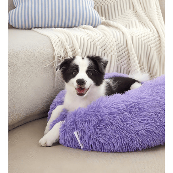 Camas Perros Cama Para Mascotas Cama Antiestres Cama 50 Cm Color Violeta 2