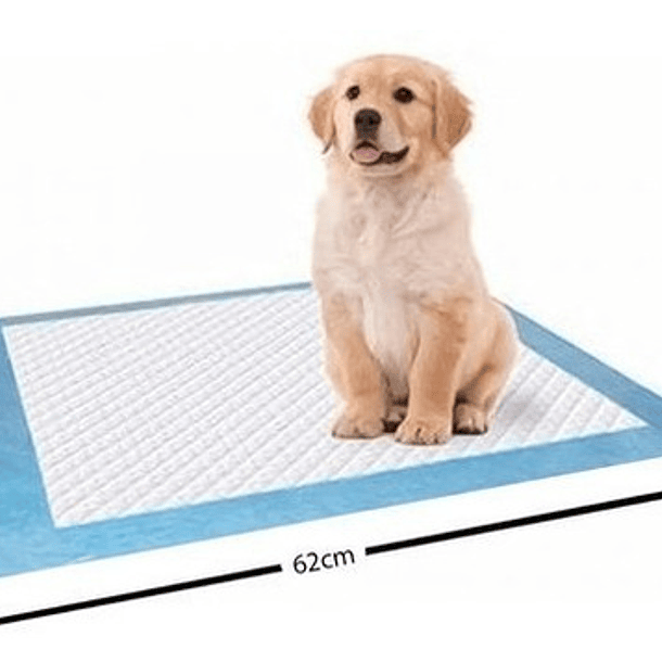 120 Pañales Tipo Sabanillas Mascotas Perros Y Gatos 60x60 Cms 4