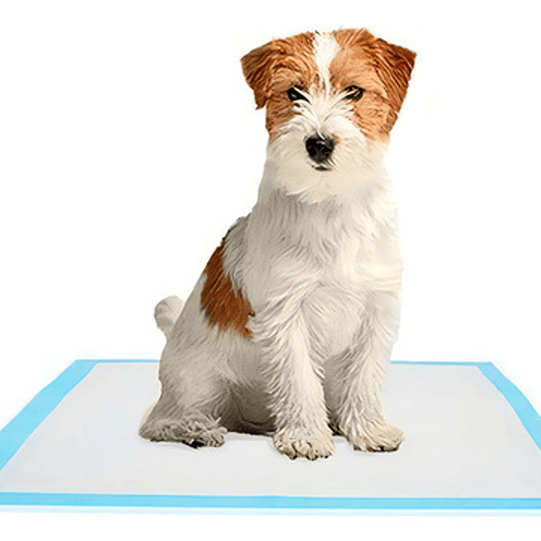 120 Pañales Tipo Sabanillas Mascotas Perros Y Gatos 60x60 Cms 6