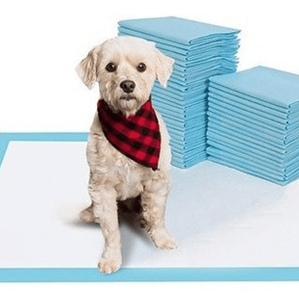120 Pañales Tipo Sabanillas Mascotas Perros Y Gatos 60x60 Cms 7