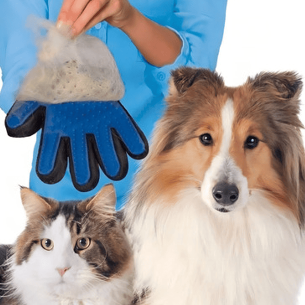 Guante Cepillo Quita Pelos Mascotas Perro Gato Color Derecho 5