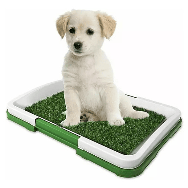 Baño De Entrenamientos Para Perros - Baño Sanitario Césped