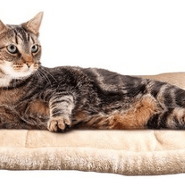 Cama Tapete Cobija Tunel 3 En 1 Perro Gato Forro Alta Calid 2