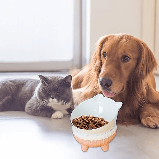 Vitrineon Cl Plato Comida Perro Alto Inclinable Color Rosa Claro 8