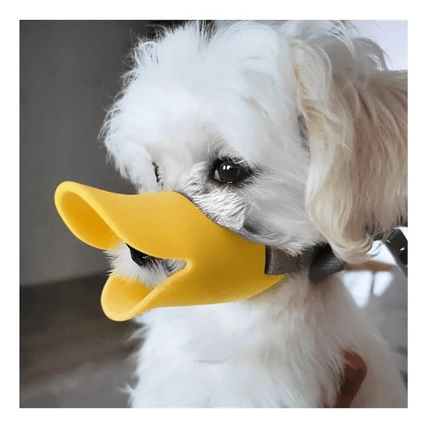 Bozal Para Perros Tipo Pato Mascotas Perro Bozal Perro S Color Azul Tamaño Talla S 7