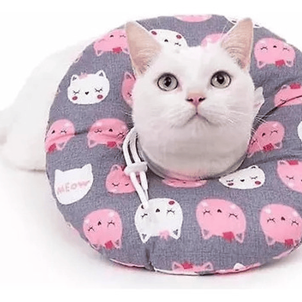 Collar Isabelino Para Gatos - Collar De Recuperación Gatos 2