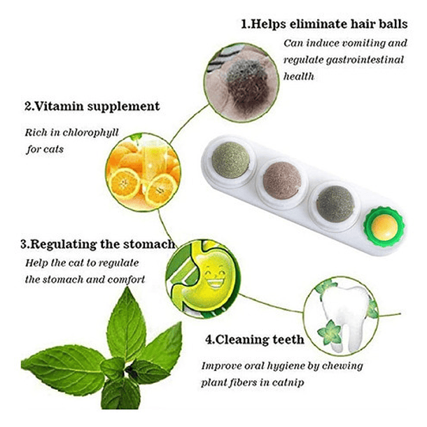 Bolas De Hierba Gatera, 4 En 1 Juguetes Con Hierba Gatera 4