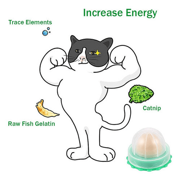 Bolas De Hierba Gatera, 4 En 1 Juguetes Con Hierba Gatera 5