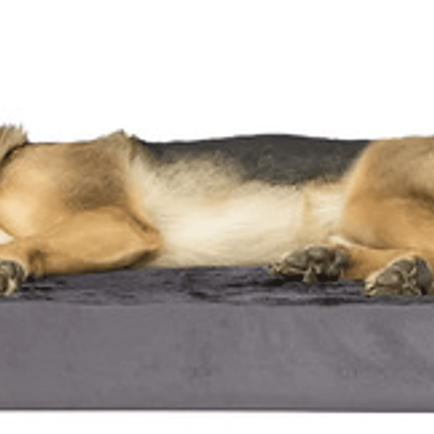 Cama Sofa Con Espuma Ortopedica Premium Xl Mascotas Perros 1