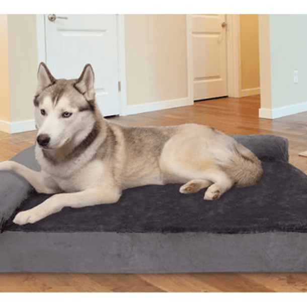 Cama Sofa Con Espuma Ortopedica Premium Xl Mascotas Perros 5