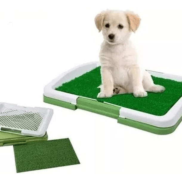 Tapete Entrenador De Perros Mascotas De Raza Pequeña 1