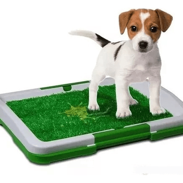 Tapete Entrenador De Perros Mascotas De Raza Pequeña 2