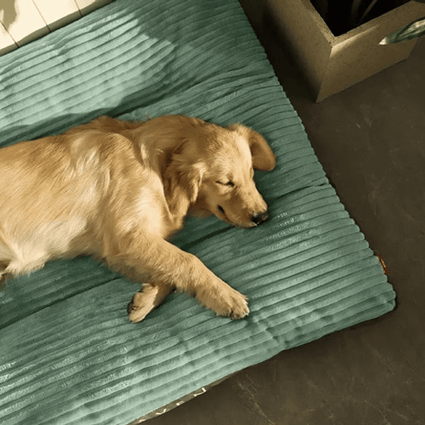 Cama Sofa Ortopedica Para Mascotas Perros Gatos Felpa M 2