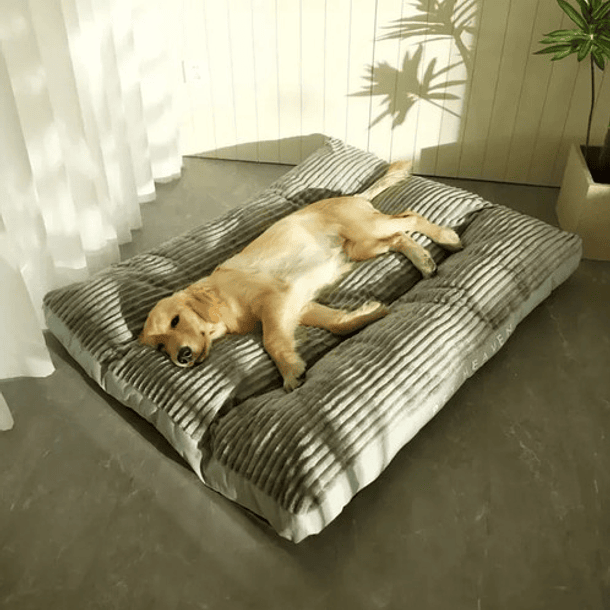 Cama Sofa Ortopedica Para Mascotas Perros Gatos Felpa M 4