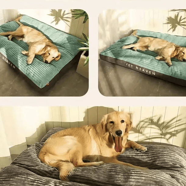 Cama Sofa Ortopedica Para Mascotas Perros Gatos Felpa M 5