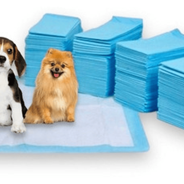 X50 Sabanillas Para Perros Sabanilla Perros Pañales 60x40 1