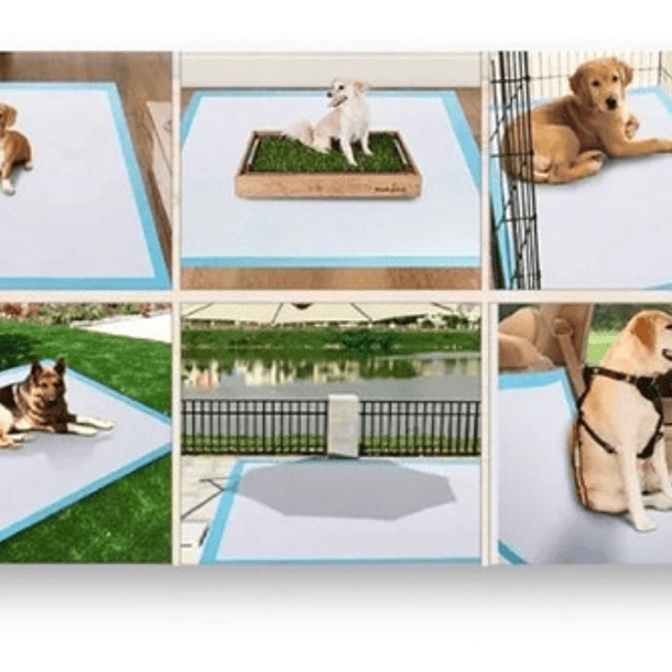 X50 Sabanillas Para Perros Sabanilla Perros Pañales 60x40 3