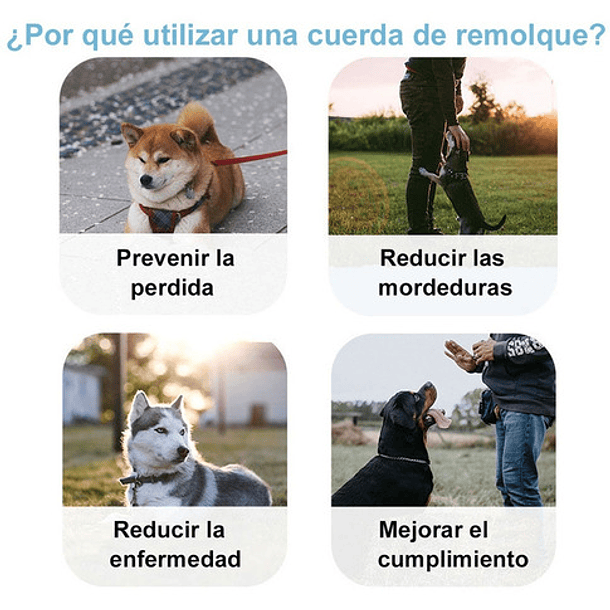 5m Mascota Correa Correa Retractil Perro Correa Para Gato 4