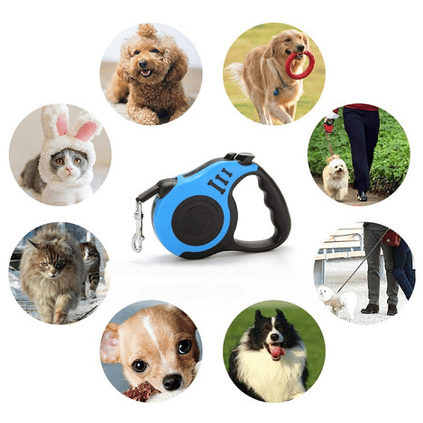 5m Mascota Correa Correa Retractil Perro Correa Para Gato 5