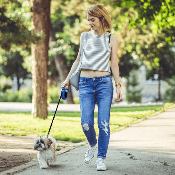 5m Mascota Correa Correa Retractil Perro Correa Para Gato 6