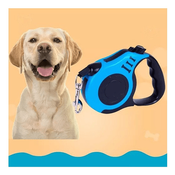 5m Mascota Correa Correa Retractil Perro Correa Para Gato 10