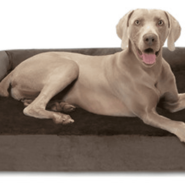 Cama Sofa Con Espuma Ortopedica Premium L Mascotas Perros 6