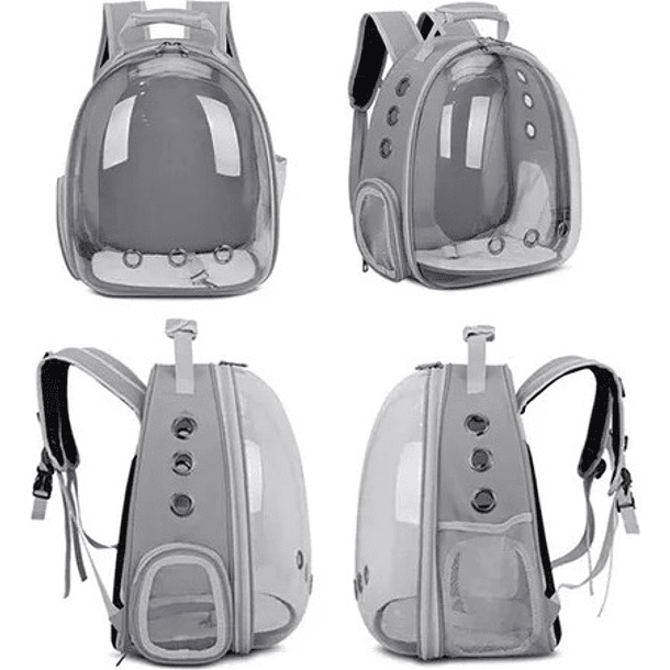 Mochila Para Mascotas Con Vista Panorámica Para Perros, Gatos Y Perros De Hasta 6 Kg, Color Fucsia 3