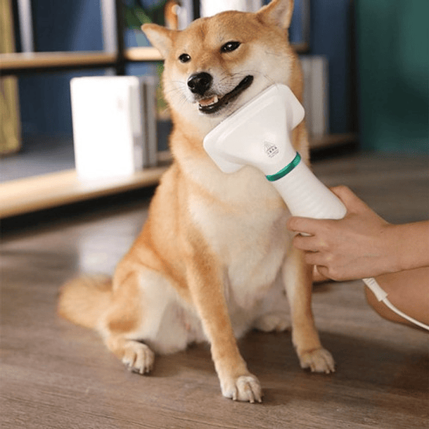 Secador Para Mascotas Genérica Cw-2032 6w 8