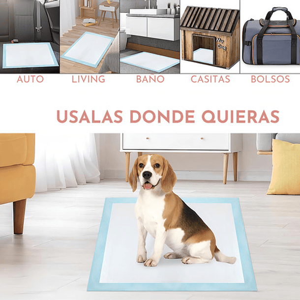 Sabanillas Para Perros 40 Unidades 60 X 90 Cm Santu Home & Deco 7