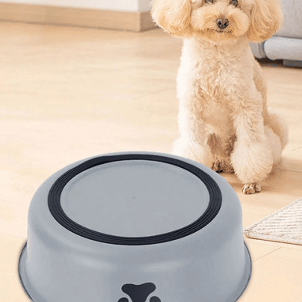 Plato Acero Inoxidable Colores 22cm Hipoalergénico Mascot 6