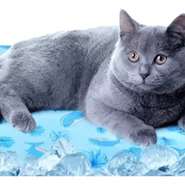 Manta Gel Refrescante Para Perros Talla Xxl 70x110cm 1