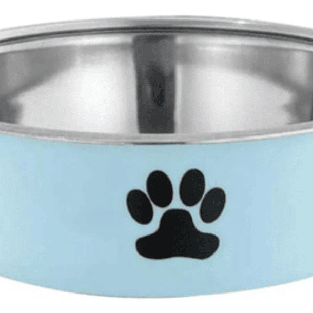 Plato Acero Inoxidable Colores 14cm Hipoalergénico Mascot 2