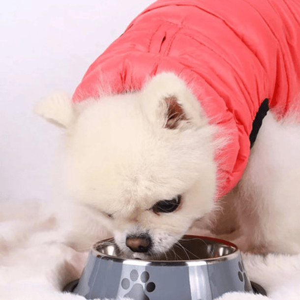 Plato Acero Inoxidable Colores 14cm Hipoalergénico Mascot 8