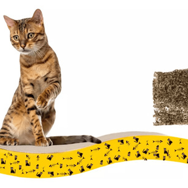 Pack X2 Rascador De Cartón Corrugado + Catnip Hierba Gatera 3