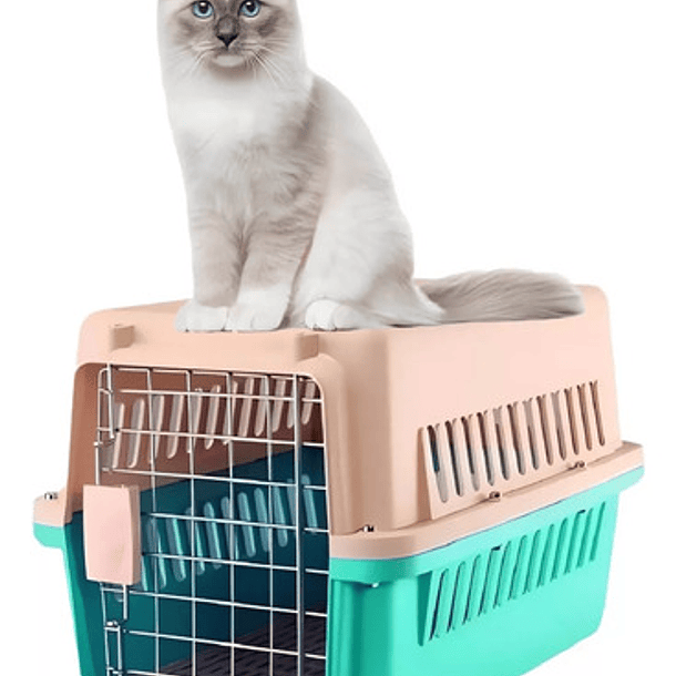 Jaula Transporte Para Mascotas - Caja Canil Perros/gatos M Color Beige 2