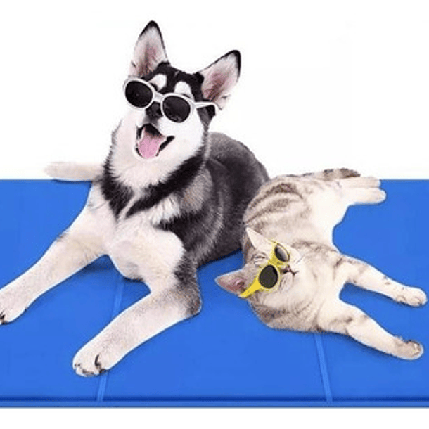 Manta Refrescante De Gel Frio Para Mascotas Talla Xl 96x81cm Color Azul Hueso Y Huella 2
