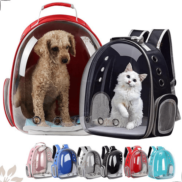 Mochila Bolso Transporte Transparente Mascotas Perros Gatos Color Azul 1