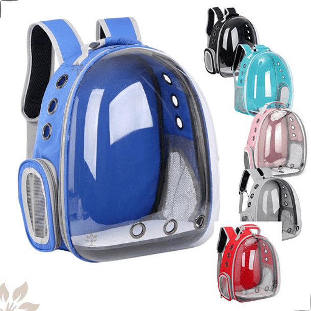 Mochila Bolso Transporte Transparente Mascotas Perros Gatos Color Azul 2