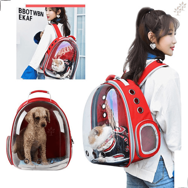 Mochila Bolso Transporte Transparente Mascotas Perros Gatos Color Azul 5