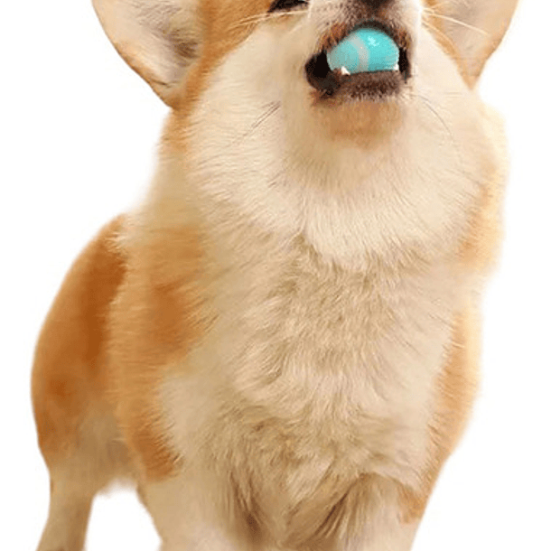 Pelota Interactiva, Giratoria, Recargable, Para Mascotas, Perros, Gatos, Usb, Color Azul 3