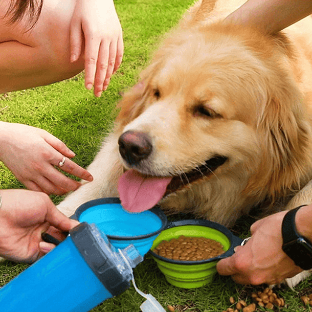 Botella Para Agua Y Alimento + Plato Plegable Paseo Mascotas Color Azul 6