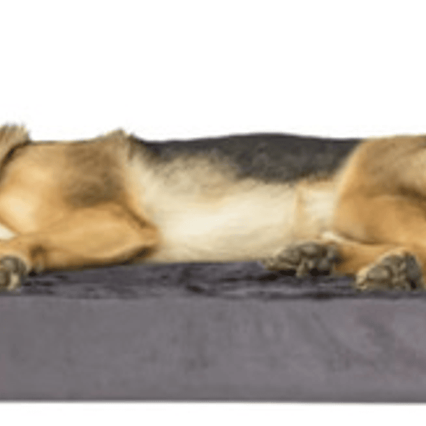 Cama Sofa Con Espuma Ortopedica Premium Xxl Mascotas Perros 1