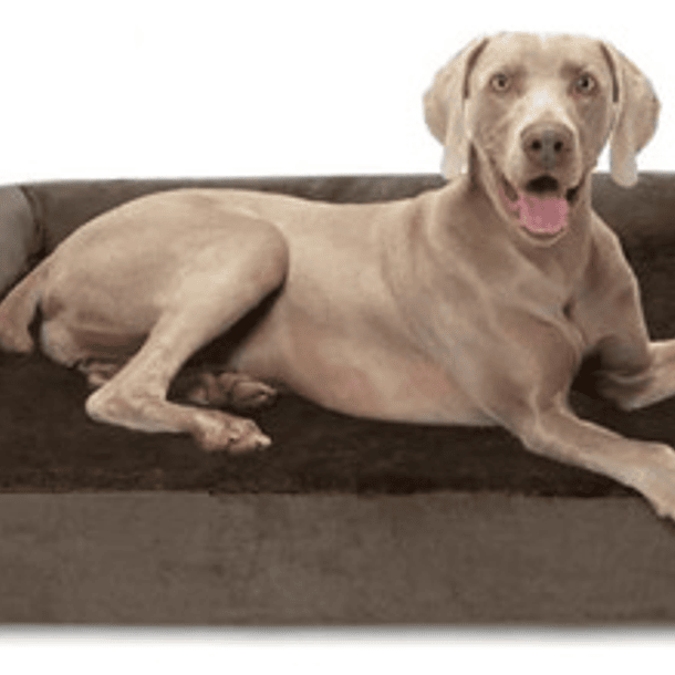 Cama Sofa Con Espuma Ortopedica Premium Xxl Mascotas Perros 6