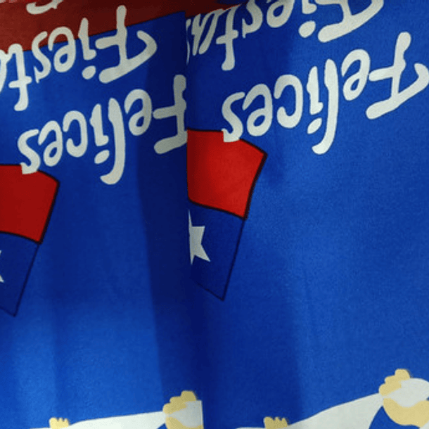 Mantel Anti-manchas Para Fiestas Patrias 150x200cm 12