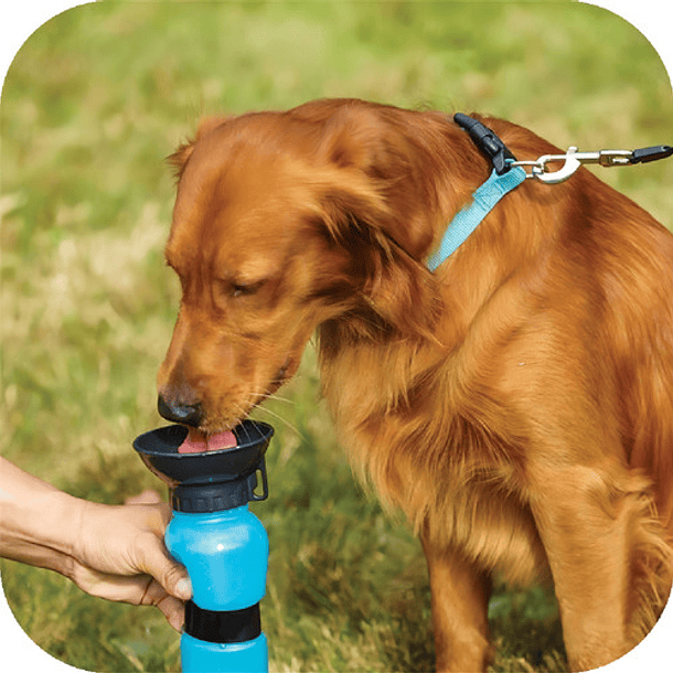 Dispensador Agua 500ml Botella Portátil Mascota Perro Gato Color Azul 6