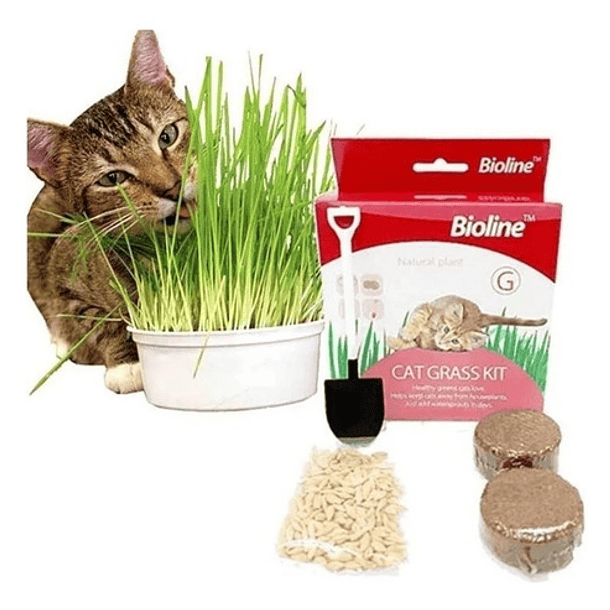 Juguete Gato Cat Grass Kit Hierba Gatera Catnip Bioline 1