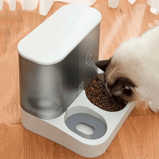 Dispensador De Agua Y Alimento Ele-gate Mascota Comedero Automatico Cor Branco 1l 5