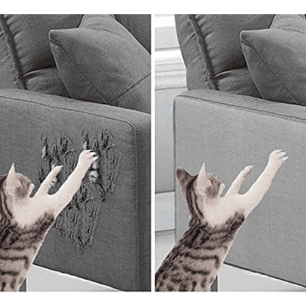 Pack 10 Protector Mueble Anti-arañazos Gatos Sofá Sillón Color Transparentes 3